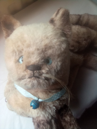 Cat vintage pyjama case - ,