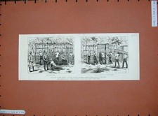 Original Old Antique Print Soudan War 1885 Life Guards Summer Huts River Nile