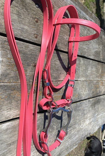 Bright pink biothane - , pony