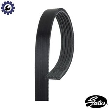 VRIBBED BELT 5PK978 FOR