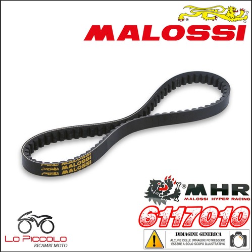6117010 belt malossi - 6117010, k