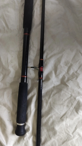Penn powerstick 4 10oz - 9'6", 4–10oz