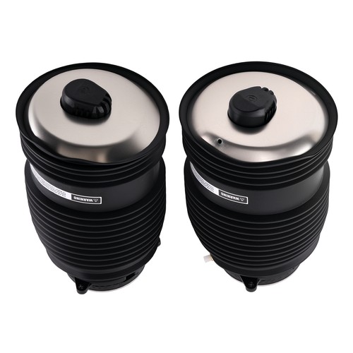 Pair rear air - spring, bag