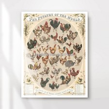 Chicken Breeds Antique Chart