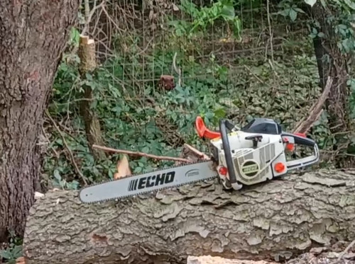 Echo 670 gasoline chainsaw - echo,