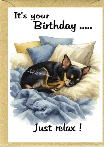Chihuahua smoothcoat dog - chihuahua,