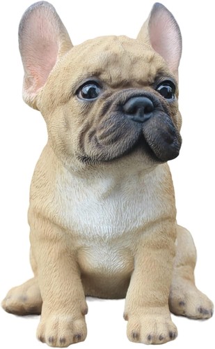 Realistic french bulldog puppy - realistic,