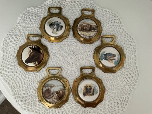 Vintage horse brasses with - x,