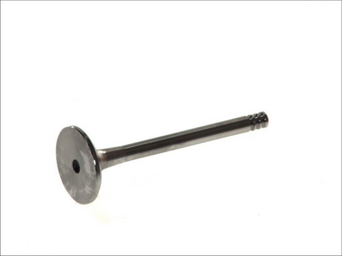 Exhaust valve 4807 fits 80 - 4807, r