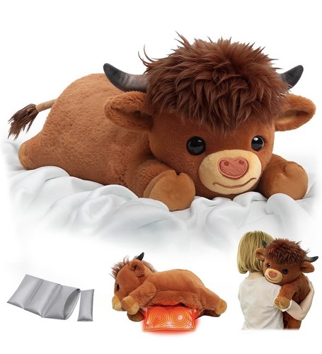 Highland cow bull - /,