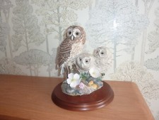 Border Fine Arts Tawny Owl