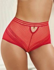 Sexy High Waist Knickers Mesh