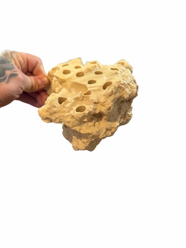 Magnetic printed coral - ,