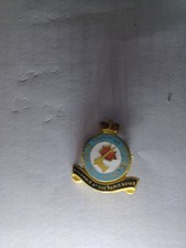 RAF School of Firefighting & Rescue Royal Air Force badge Pin