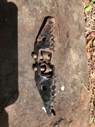 Honda tlr 250 foot - honda, pegs