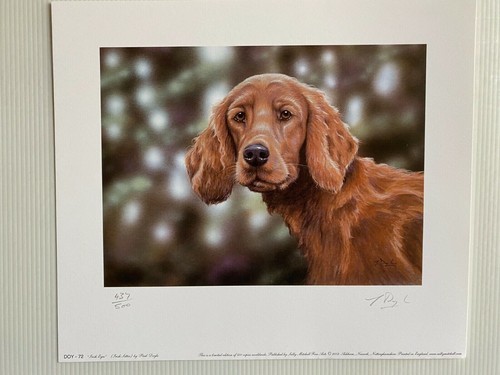 Dog art print irish - print,