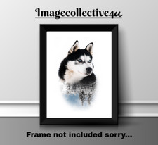 ALASKAN HUSKY DOG PET A4 PRINT