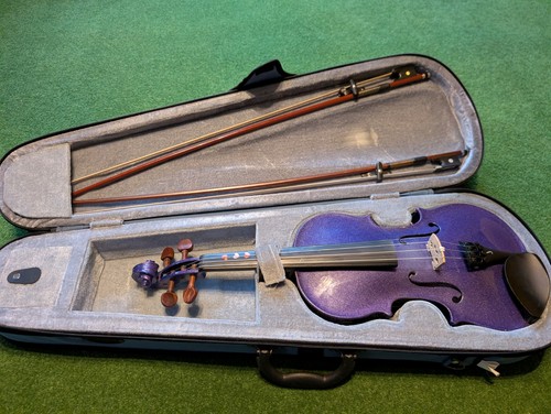 Purple stentor harlequin size - stentor,