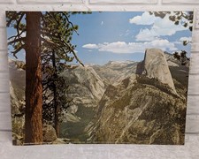 Vintage 1960s Fideler Print