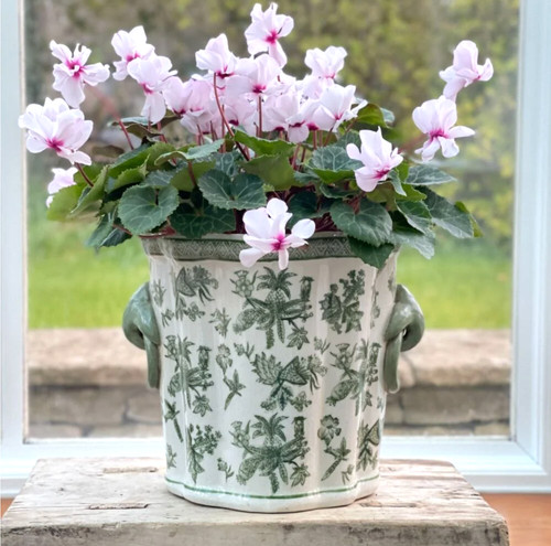 Green white ceramic - white,