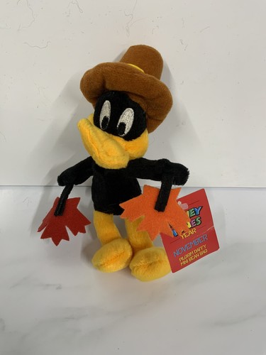Looney tunes year pilgrim - year,
