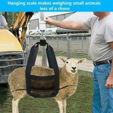 200lbs Small Animal Weighing