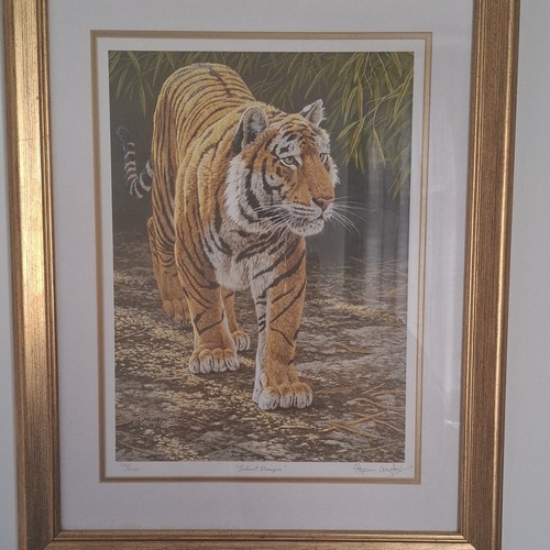 Limited edition tiger - 3,