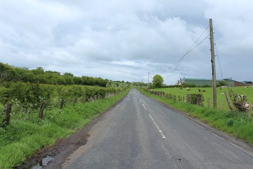 Photo 6x4 the road - 6x4,