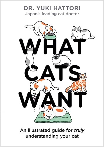 What cats want illustrated - cats,