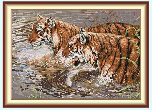 Two tigers nature wild life - nature,