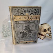 Charles O'Malley: The Irish