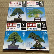 Modern Bonsai Magazines Set of