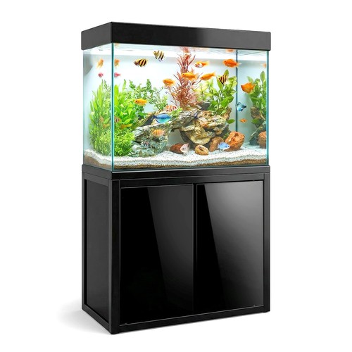 100 gallon aquarium - gallon, tank