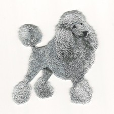 Grey Poodle Patch Dog Full