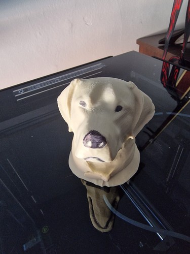 Tow ball cover labrador - ball, dog
