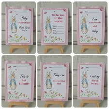 28 Peter Rabbit New Baby