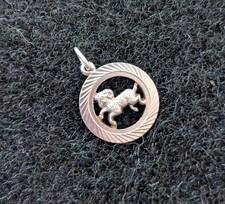 Sterling Silver Capricorn Charm  or Pendant .
