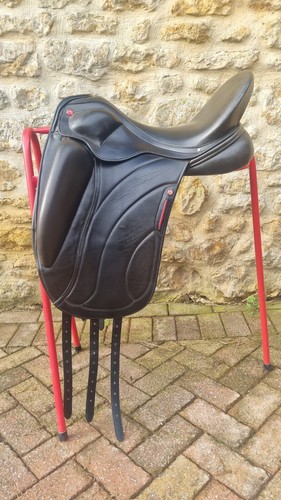 Albion revelation dressage - revelation,