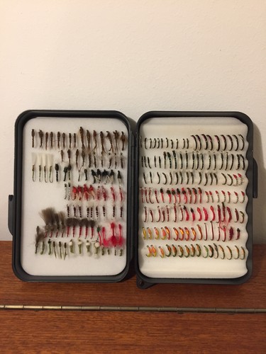 210 flies fly - flies,,