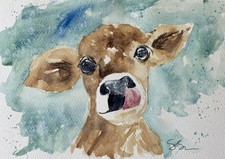 A Jersey Calf : Original Loose
