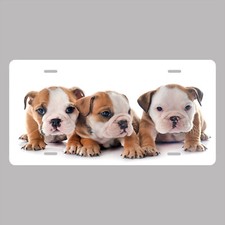 Puppies novelty front - front, license