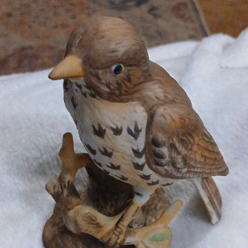 Mistle thrush ceramic - ceramic, bird