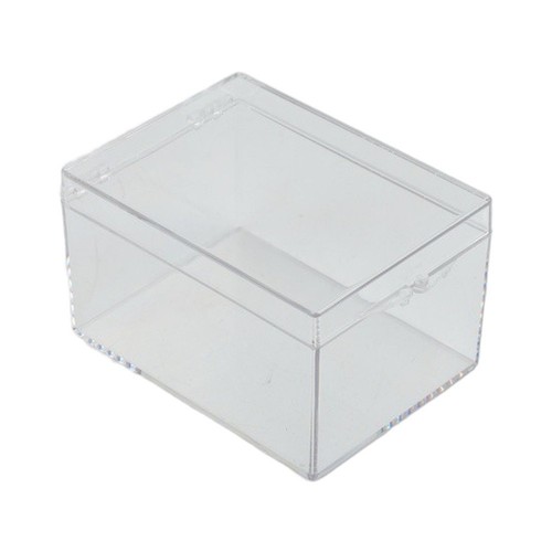 Rectangular insect specimen - rectangular,