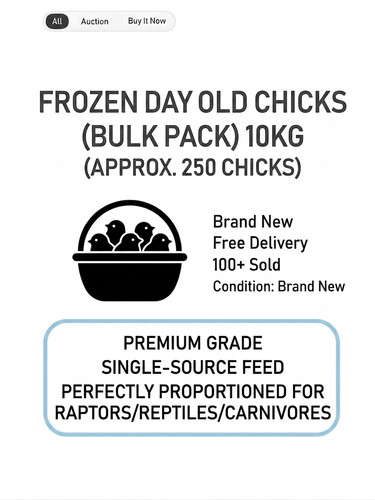 10kg frozen chicks falconry - frozen,