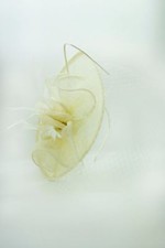 HALF PRICE Wedding Races