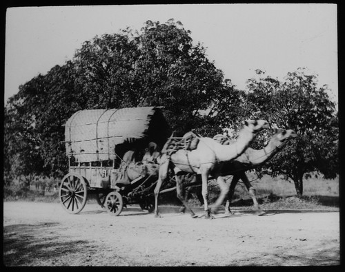 Indian omnibus central - an,