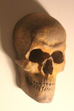 Rare Human Skull Death Mask