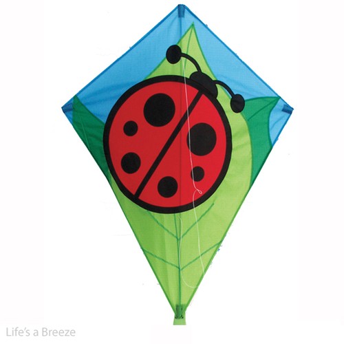 Lady bug kite children - bug, children's