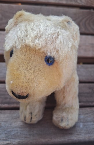 Steiff polar bear button - steiff, in