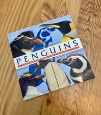 2018 Falkland Islands Penguin